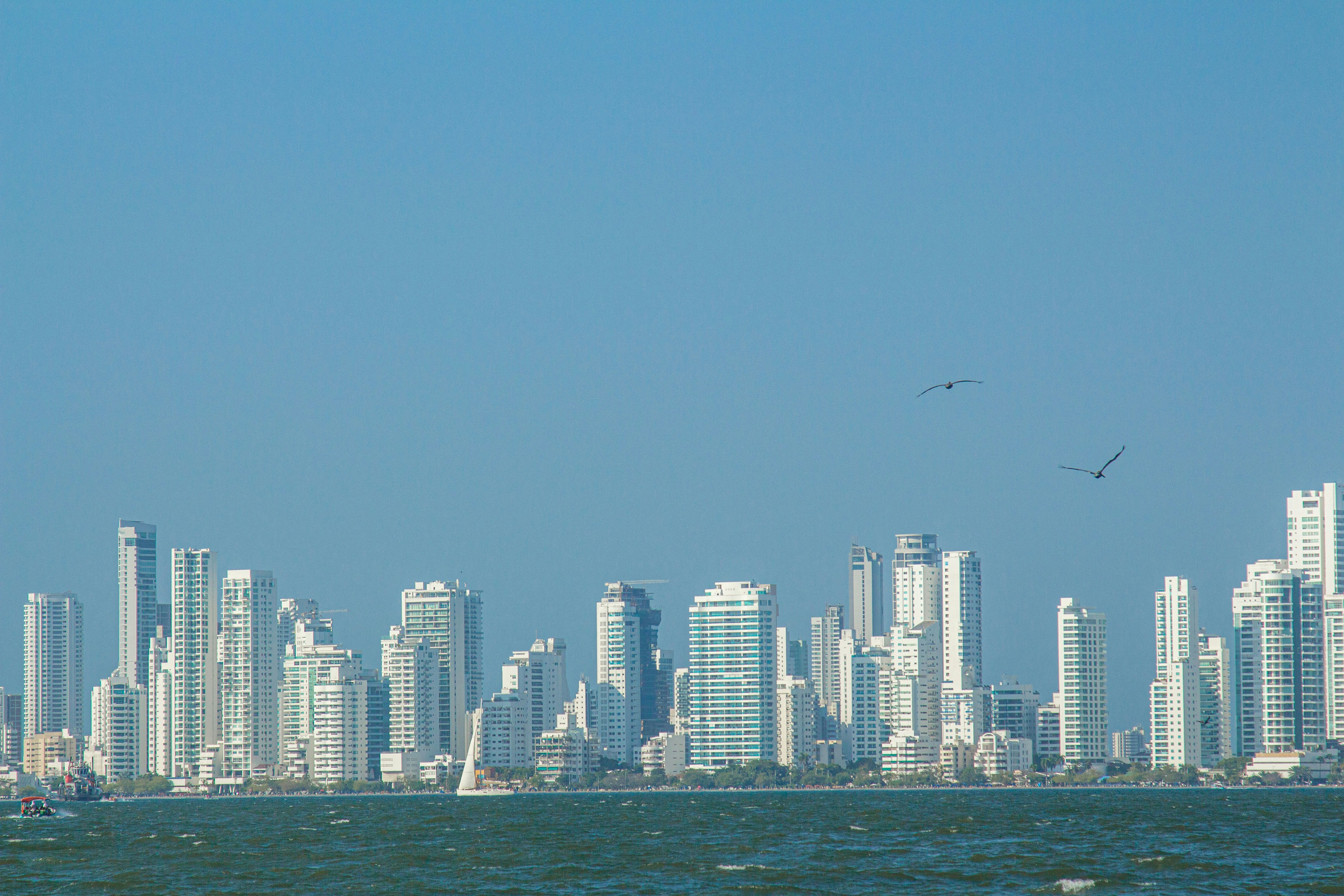 Façades colorées et palmiers sous le soleil à Cartagena, Colombie